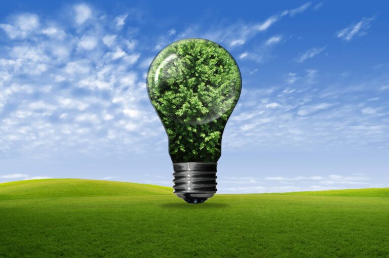 Bulb with tree isolated on white background , green eco concept